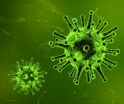 Szczepionka oraz antygen przeciwko wirusowi grypy